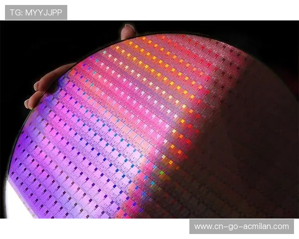 火箭补强路线曝光:技术榜与数据模型双保险 火箭补强路线曝光:技术榜与数据模型双保险